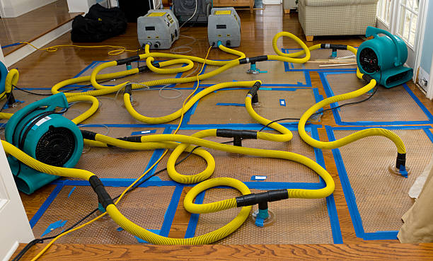 Professional Water Damage Repair technician working in Highland Park, TX